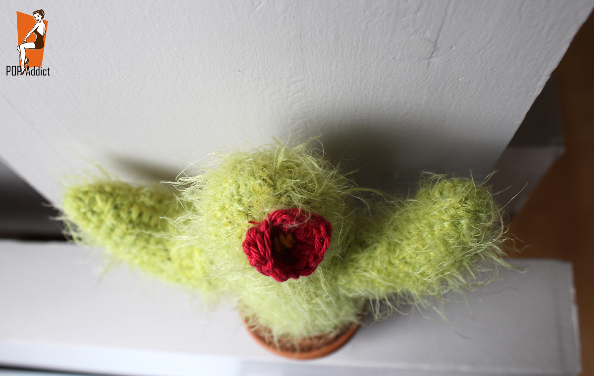 CACTUSPOILU cactus au crochet
