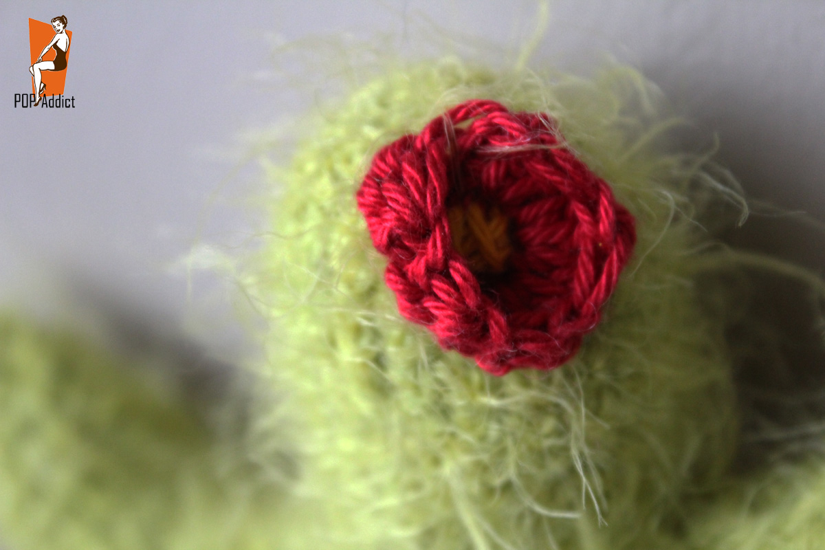 CACTUSUNEPOULEAPETITPASPOPADDICT cactus au crochet