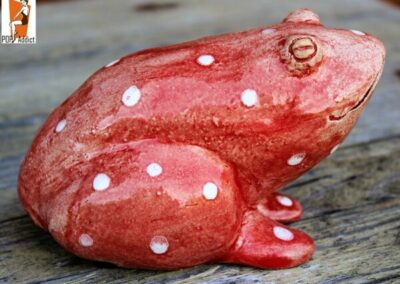 creer une grenouille en terre