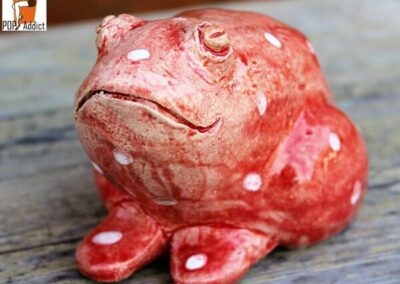 grenouillerougeàpoisblanc