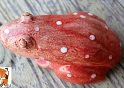 grenouille en céramique